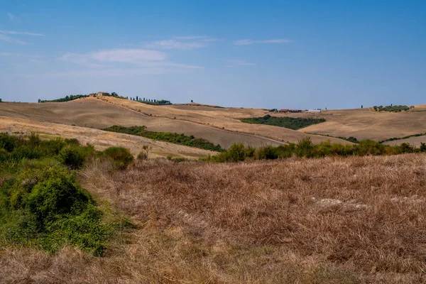 Rolling dry hills in summer light with blue sky, rural landscape and distant trees.