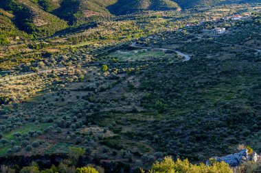 Zeytinlikler ve yamalar geniş, güneşli bir dağ vadisine yayıldı..