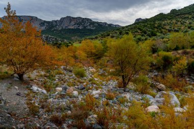 Kuru, taşlarla dolu bir nehir yatağı sonbahar ağaçları ve çalılıklar arasında rüzgarlar eserken tırtıklı kireçtaşı dağları kara kara düşünen bir gökyüzü altında yükseliyor..