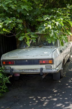Terk edilmiş eski Sovyet Sedan 'ı yoğun ağaç tepe örtüsünün altına park etmiş, dalları tozlu bedeni kaplayan.