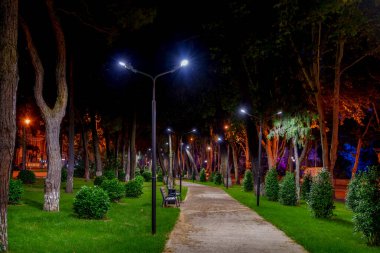 Aydınlanmış ağaçların ve çalıların arasında kıvrımlı bir yürüyüş yolu. Serin gece ışığında parlayan boş banklar.