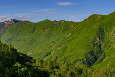 Sıcak güneş ışığı, yuvarlanan çimenli dağ yamaçlarını ve sakin mavi gökyüzünün altındaki dağınık ağaçları aydınlatır.