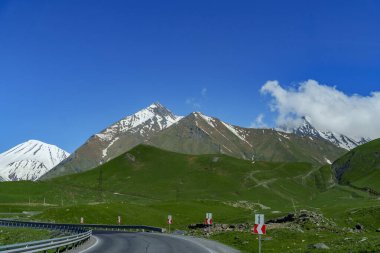 Manzaralı otoyol, derin mavi gökyüzünün altındaki karlı dağlara uzanan alp çayırlar boyunca kıvrılır.
