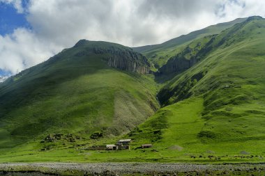 Engebeli yamaçların altında, parlak yeşil bir vadide, küçük bir çiftlik yerleşkesi yuva yapar..