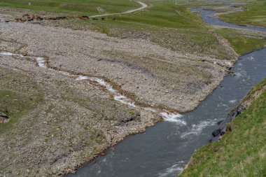 Sığ kayalık örgüler daha derin bir nehirde otlak bankalar ve uzak sığırlar arasında kıvrılarak besleniyor..