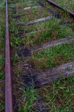 Yıpranmış ahşap yataklar ve paslı demiryolu otların ve yabani bitkilerin altında yavaşça kayboluyor..