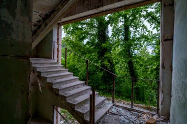 Harap olmuş bir binanın beton merdivenleri. Eksik bir dış duvarın içindeki canlı ağaçlar..