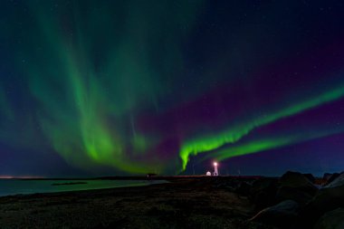 Parlak yeşil aurora borealis perdeleri parıldayan deniz feneri fenerinin üstündeki yıldızlı mor gökyüzünü doldurur kayalık kıyı ön planındaki çadırları.