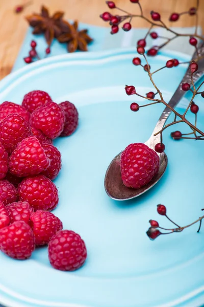 Raspberry on blue plate — Stock Photo, Image