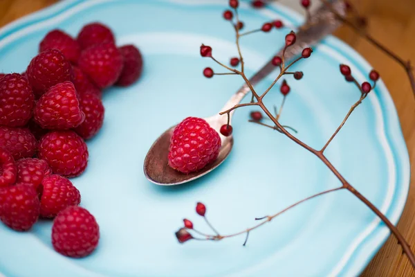 Raspberry on blue plate — Stock Photo, Image