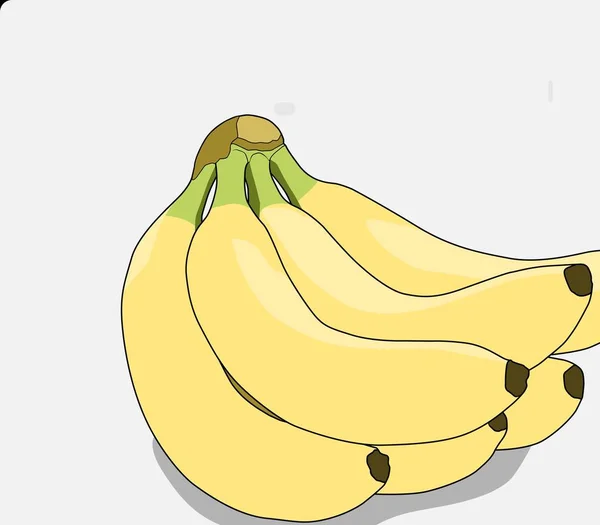 Une Grappe Fruits Banane — Image vectorielle