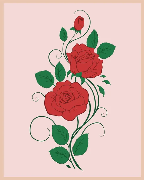 güzel kırmızı gül illüstrasyon resmi