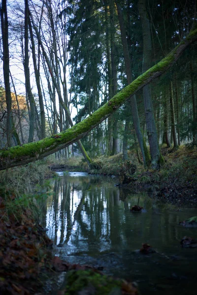 Avrupa 'nın güzel doğası 