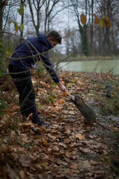 Doğada poz veren iyi bir çocuk. 