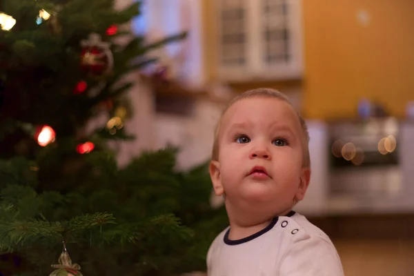 Min Lillebror Ser Julgran För Första Gången — Stockfoto