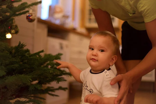 Küçük kardeşim Noel ağacını ilk kez görüyor. 
