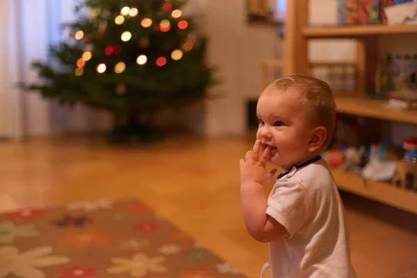 Küçük kardeşim Noel ağacını ilk kez görüyor. 