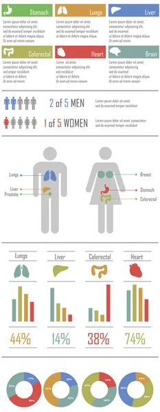 Infografics — Stok Vektör