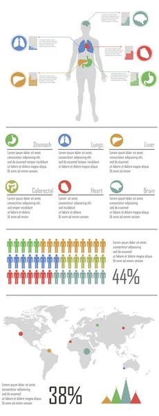 Infografics — Stock vektor