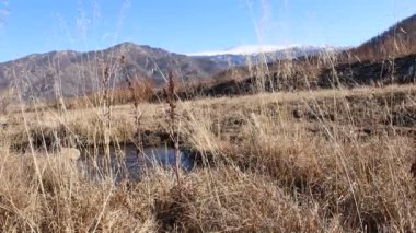  Nehir ve Altai dağları manzaralı güzel bir manzara. Kulada Köyü, Altai Cumhuriyeti, Rusya.