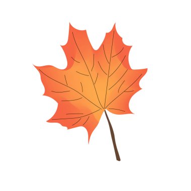 Beyaz arka planda akçaağaç yaprağı. Görüntü.