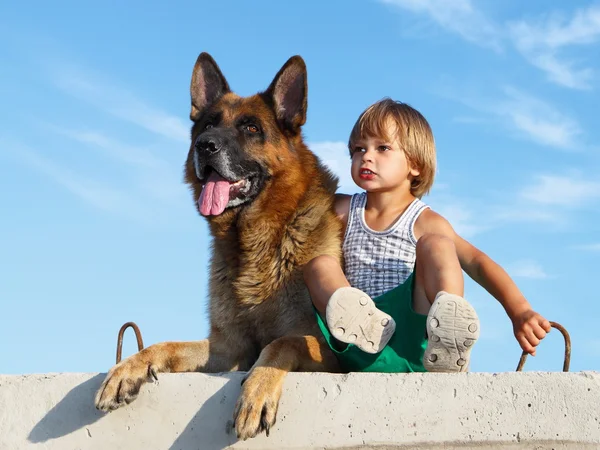 Leuke jongen en bedreigend Duitse herder. — Stockfoto