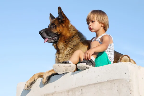 Leuke jongen en bedreigend Duitse herder. — Stockfoto