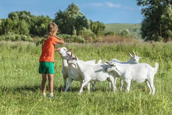 Menino para treinar crianças no prado . — Fotografia de Stock