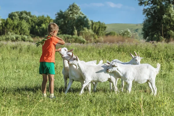 Pojken att utbilda unga barn på äng. — Stockfoto