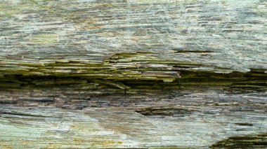 Eski ahşap dokular, yakın çekim dış görünüş. Özgeçmiş için uygun.