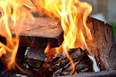 Ormanda şenlik ateşi