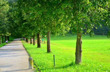 path in a park through a lawn