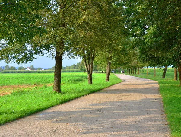 Image of park street — Stock Photo, Image