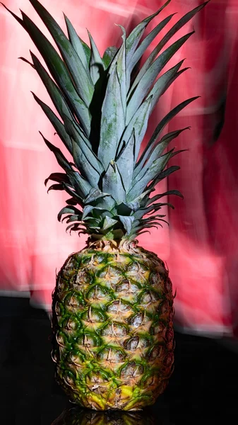 The ananas fruit — Stock Photo, Image