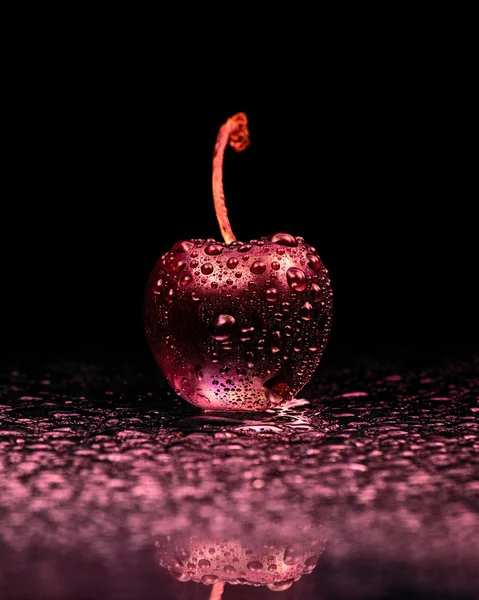赤い光の中濡れた桜 — ストック写真