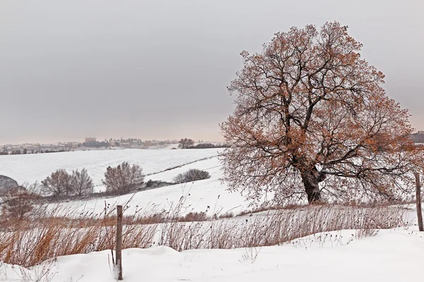Italian luminen maisema — kuvapankkivalokuva