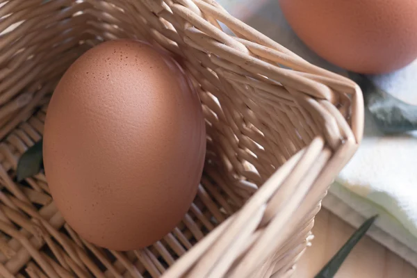 Huevo en primer plano en la cesta —  Fotos de Stock