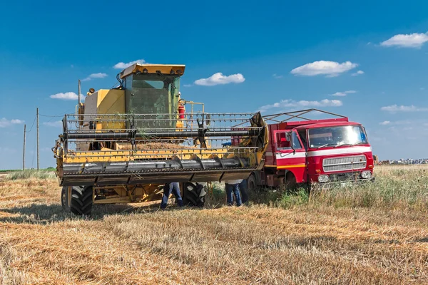 Moissonneuse et camion dans le champ de blé — Photo