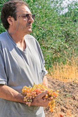 Üzümlü adam.
