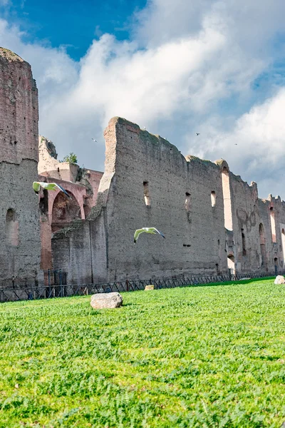 Termal de Caracalla — Fotografia de Stock