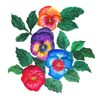 Botanik suluboya - üç renkli hanım evladı buketi (açık mor, pembe, turuncu ve mavi tomurcuklar))