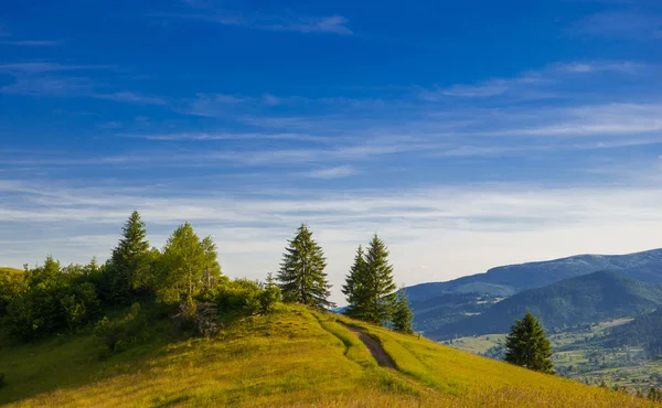 Summer landscape in the mountains — Stock Photo, Image