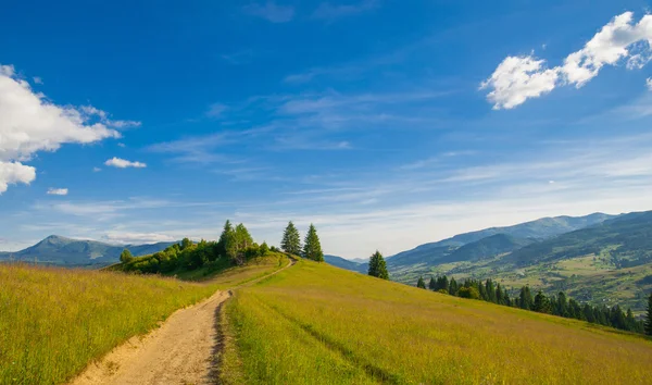 Zomer landschap in Bergen — Stockfoto