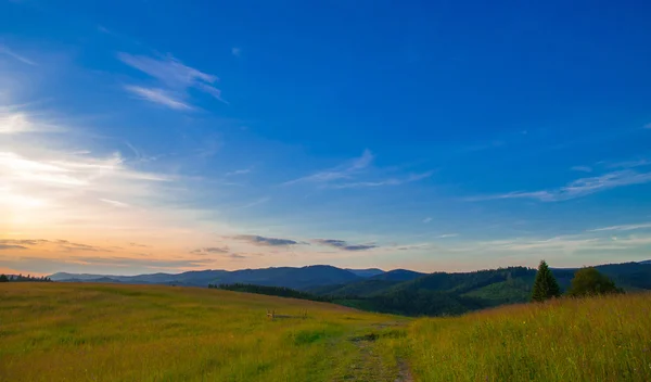 Zomer landschap in de bergen — Stockfoto