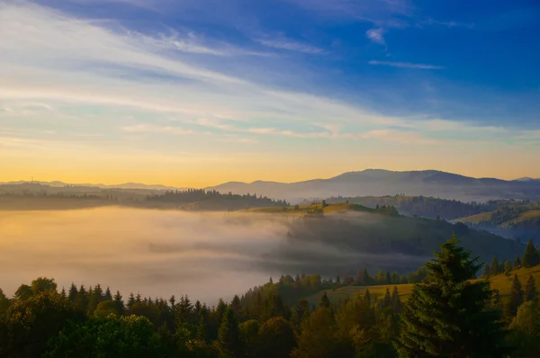 Mystic fog in mountains
