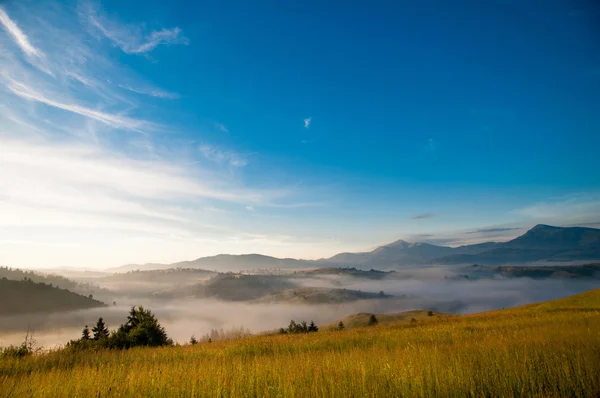 Mystic fog in mountains — Stockfoto