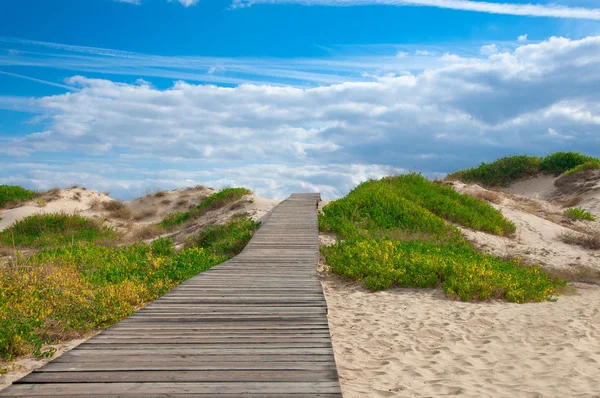 Kum plajındaki yaya köprüsü