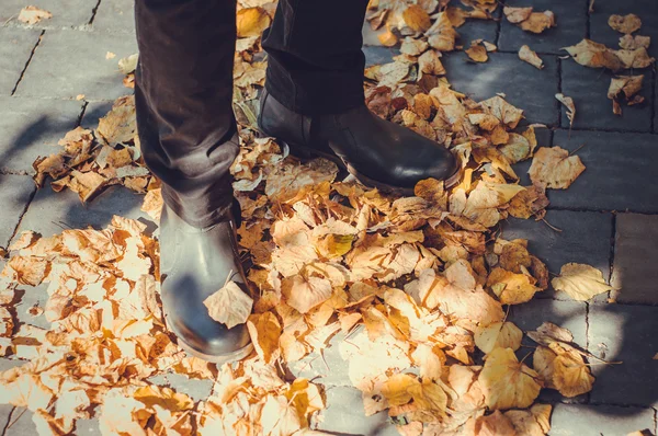 Bacaklarını adamın yaprakları