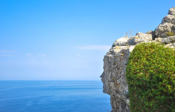 İnsan yüzü taşla