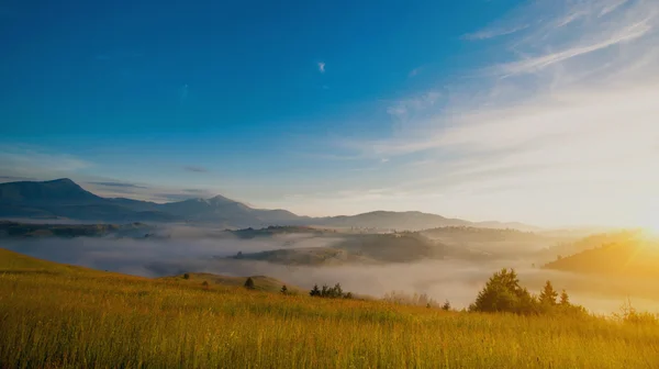 Mystic fog in mountains